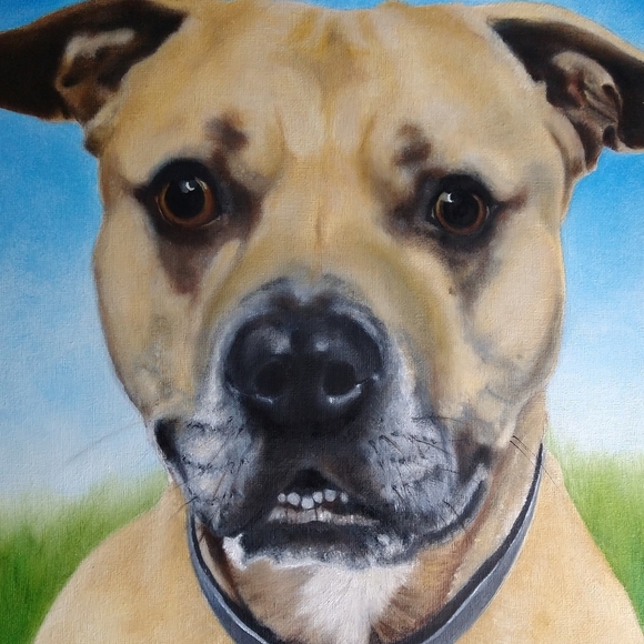 Meet your Posher, Victory Hill (Deb) - Picture 3 of 14